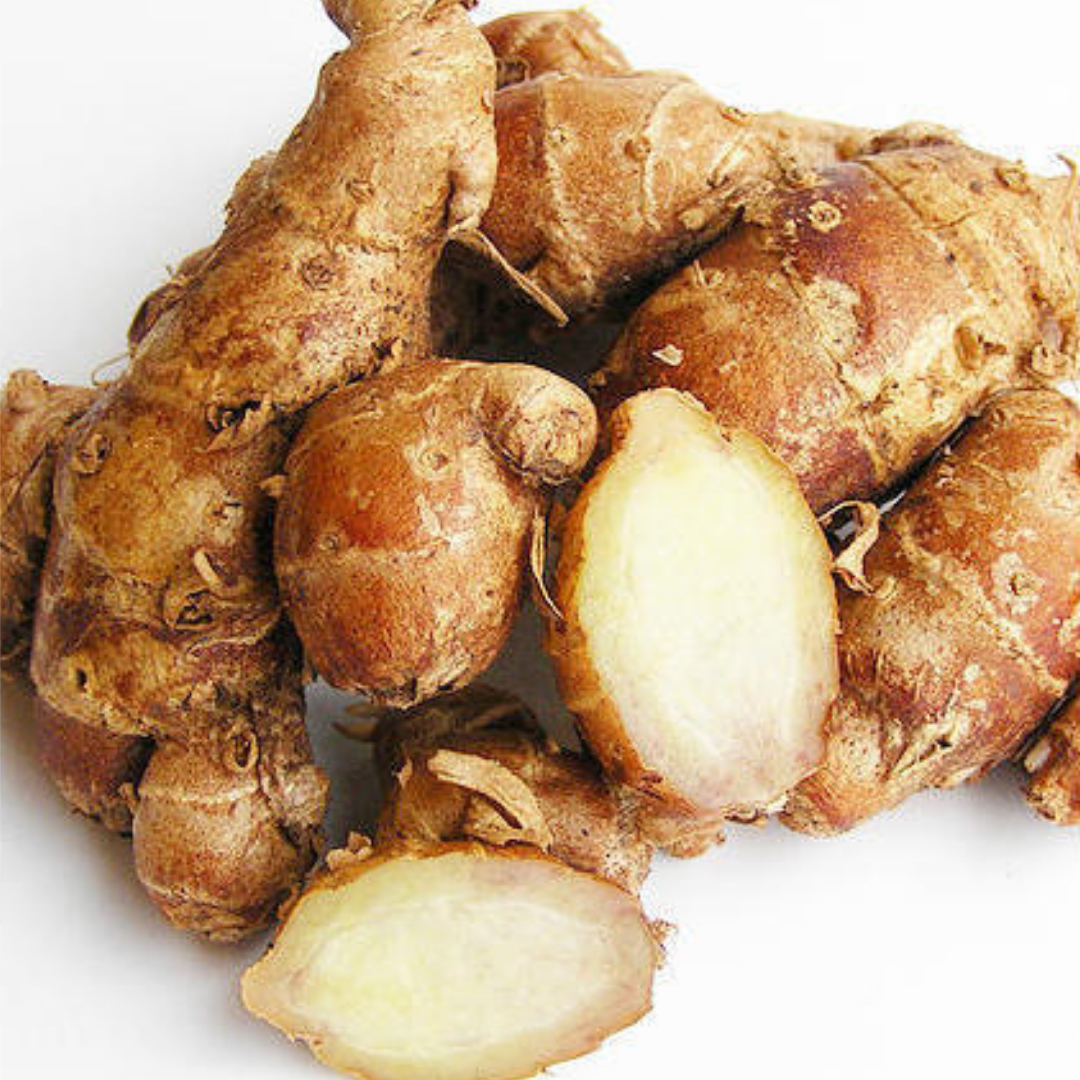 Aromatic Ginger Bulbs - Kaempferia galanga