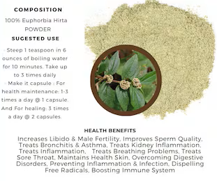 100 Capsules Petikan Patikan Kebo Euphorbia Hirta WildCrafted