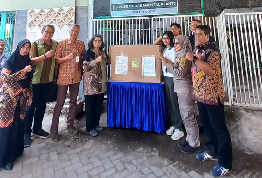 A Day with Our Team: From Greenhouse to Export Shipping