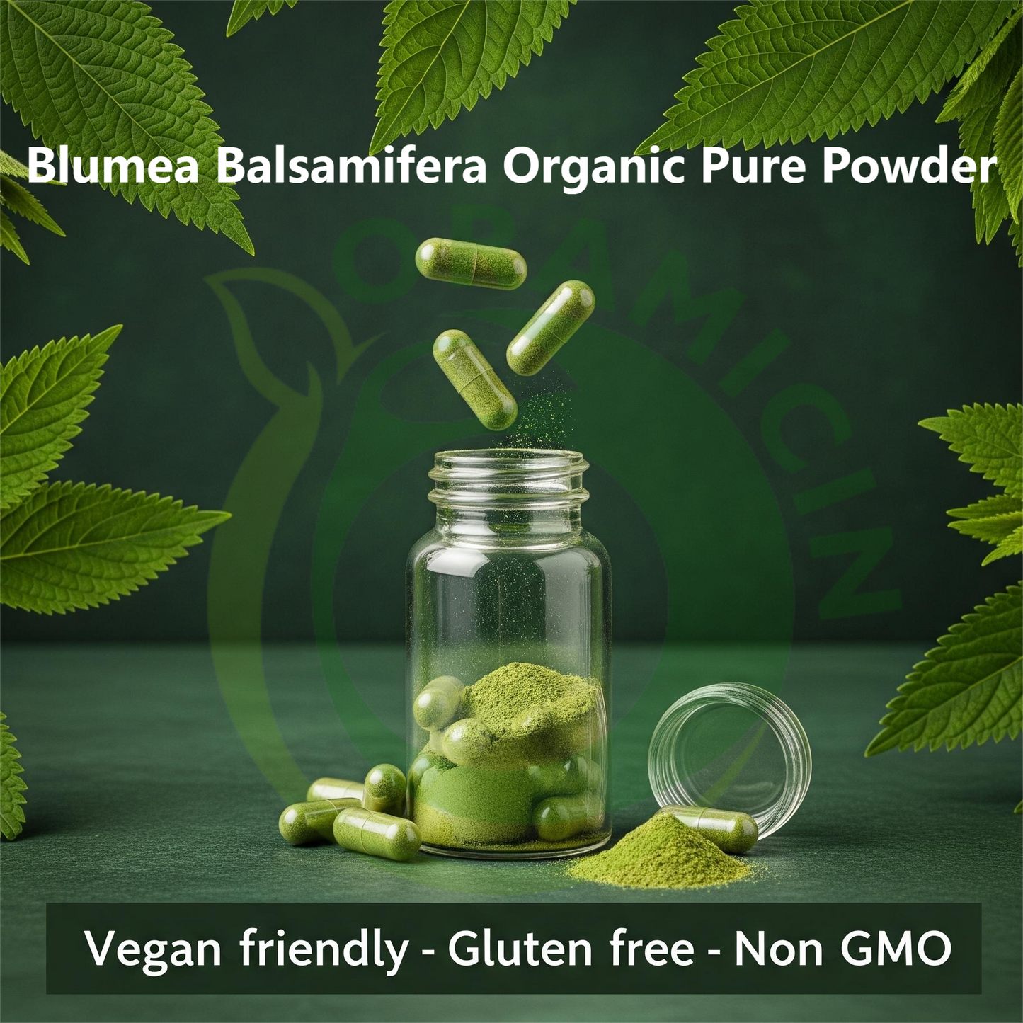 BLUMEA BALSAMIFERA (SEMBUNG) Capsules-Organic-Pure-Premium Quality