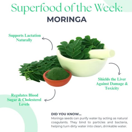 Moringa Leaf 100 Caps Herbs Spices Extract Natural Organic Pure Herbal Health